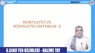 DENETLEYİCİ VE DÜZENLEYİCİ SİSTEMLER 2  6SINIF FEN BİLİMLERİ  EĞİTİM TOKAT TV [upl. by Ydnagrub205]