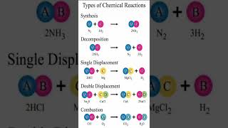 ChemistryTyps of ReactionChemical Sciencechemisty science 12thchemistry cbse education neet [upl. by Salbu592]