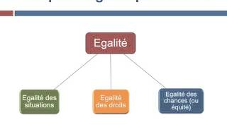 Quelles conceptions de légalité dans les sociétés démocratiques [upl. by Atirehc]