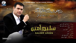 Saleem AmeenNew SongPoet Sajid NoorDil Cho Sheshaga [upl. by Ecirb]