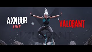 halo chat  pubg valorant [upl. by Ailito]