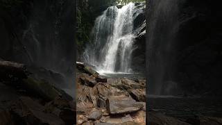 Duwili Falls Sinharaja forest Sri Lanka දූවිලි ඇල්ල සිංහරාජ ලංකාගම nature waterfallsrilanaka [upl. by Eelahs48]