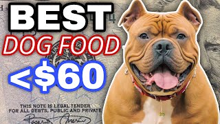 Best Dog Food Brands 2025  American Bully XL [upl. by Oicam]