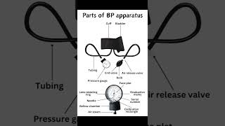 Parts of BP apparatus shorts [upl. by Mloc348]