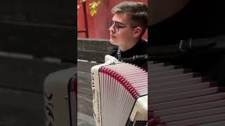 French waltz musette on accordion [upl. by Alvie280]