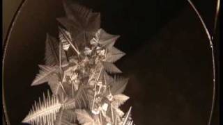 ice crystals and supercooled water [upl. by Arawaj]