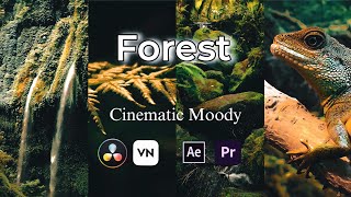 Cinematic Moody video Colour grading Cinematic colour grading [upl. by Hubey]