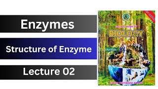 structure of enzyme  chapter 2 enzymes  class 11 biology Sindh board new book [upl. by Elay]