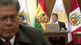 Audiencia Preliminar y Complementaria [upl. by Edveh]