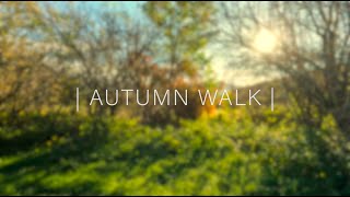 Autumn Walk October 2024  GoPro Hero 10  Hohem iSteady Pro4 [upl. by Nace]