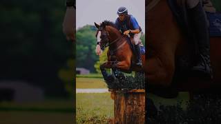 Who else loves Boyd Martin eventing crosscountryhorse crosscountry horses horse horsesport [upl. by Anahpos]