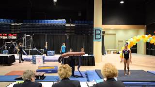 Haleigh Bryant  2014 Eastern National Vault Champion vault 2 [upl. by Darryn343]