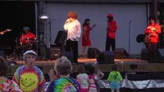 Groove Train performing their cover of Boogie Shoes in Danville Va 612013 [upl. by Florida]