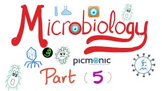 Microbiology  Bacillus anthracis Bacillus cereus Mycobacteria TB Leprosy  Picmonic  Part 5 [upl. by May]