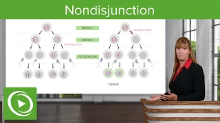 Nondisjunction Chromosomal Disorders amp Aneuploidies – Medical Genetics  Lecturio [upl. by Rica]