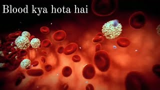 blood kya hai in hindi l all about white blood cells hindi l blood vessels blood circulatory system [upl. by Ahseekan]