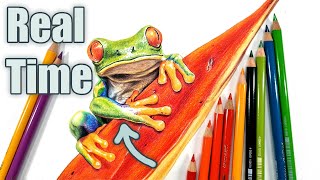 Colored Pencil tutorial Real Time  Frog skin texture [upl. by Schnorr]