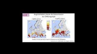 Les maladies vectorielles le Chikungunya [upl. by Izak]