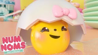 Num Noms  Little Baby Chicken  Num Noms Snackables Compilation  Cartoons for Children [upl. by Dosia951]