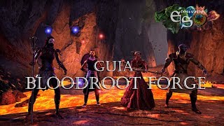 GUIA Bloodroot Forge [upl. by Patrizia700]