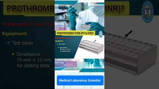 Prothrombin Time amp INR [upl. by Nawuj]