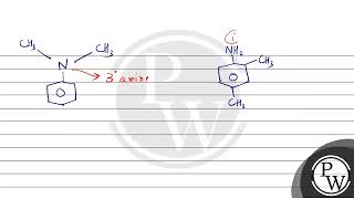 A positive carbylamine test is given by [upl. by Marola]