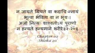 Bhagavad Gita Sanskrit recitation with Sanskrit text  Chapter 02 [upl. by Nollid412]