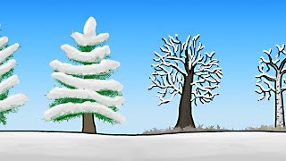 How do Trees Survive Winter [upl. by Evante]