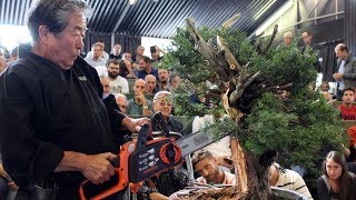 Kunio Kobayashi Bonsai demonstration [upl. by Kohn482]