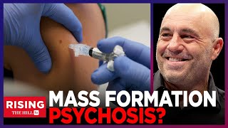 Joe Rogan Big Pharma BRAINWASHED The Left Created MASS FORMATION PSYCHOSIS [upl. by Yelyak]