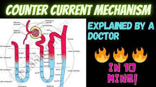 COUNTER CURRENT MECHANISM  you will never forget  kidney  physiology  class 11 doctor explains [upl. by Shivers]