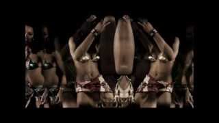 Fally Ipupa  Mabele Clip Officiel [upl. by Aerdnaeel]