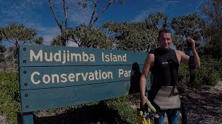 Snorkel With Turtles At Mudjimba Island  Sunshine Coast QLD [upl. by Alleciram]