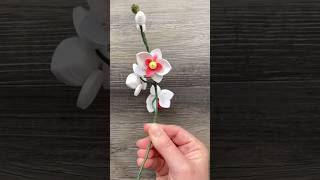 Orchids that can last forever quilling [upl. by Streeter]