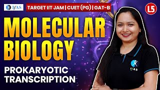 Prokaryotic Transcription for IIT JAM Biotechnology  GAT B  CUET PG 2025  Molecular Biology  L5 [upl. by Naillimxam]