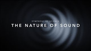 THE NATURE OF SOUND  SYMPHONY OF SCIENCE [upl. by Iaria]