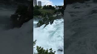 Rhine Falls Zurich Switzerland rhinefalls switzerland zurich rheinfall waterfall nature [upl. by Elle]