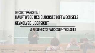 Hauptwege des Glukosestoffwechsel  GlykolyseÜbersicht Glucosestoffwechsel 1 [upl. by Malcolm]