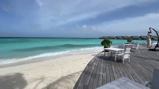 Milaidhoo Island Maldives  Ocean Restaurant  breakfast food display and restaurant observing tour [upl. by Eelyab]