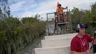 Florida Everglades Airboat VIP Experience with Alligator Farm [upl. by Charity]