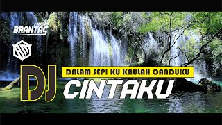 DJ CINTAKU  DALAM SEPI KU KAULAH CANDUKU ANGKLUNG  BRANTAS MUSIC [upl. by Bremser735]