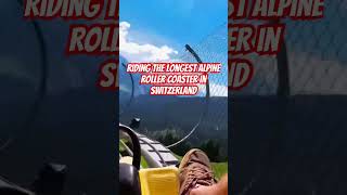 Embrace the thrill of the longest alpine roller coaster in Switzerland 🇨🇭 [upl. by Ynafit]