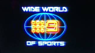 Channel Nine Cricket Australia vs England World Series 199091 End Credits [upl. by Enaoj500]