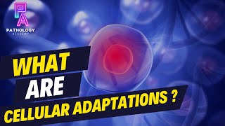 What Are Cellular Adaptations By Dr Aditi Kumar MD Pathology [upl. by Laekim]