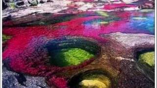 Vltava Moldau Smetana Cano Cristales Colombia [upl. by Adnowal]