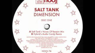 Salt Tank  Dimension Hybrids Audio Candy Remix [upl. by Ainsworth]