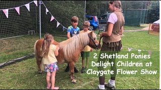 Our Shetland Ponies at Claygate Flower Show  TV Episode 499 [upl. by Ynnavoig92]