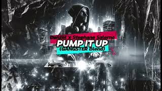 Danzel x Stephane Salerno  Pump It Up GANGSTER Blend [upl. by Saffren]