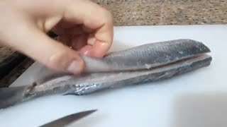 Levrek Fileto Çıkarma Nasıl Yapılır Levrek Fileto Nasıl Çıkarılır  How to Sea Bass Fillet [upl. by Burman]