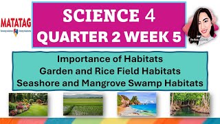 SCIENCE 4 QUARTER 2 WEEK 5 IMPORTANCE OF HABITATS MATATAG CURRICULUM science4quarter2week5 [upl. by Bagger]